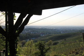 Vogesenblick